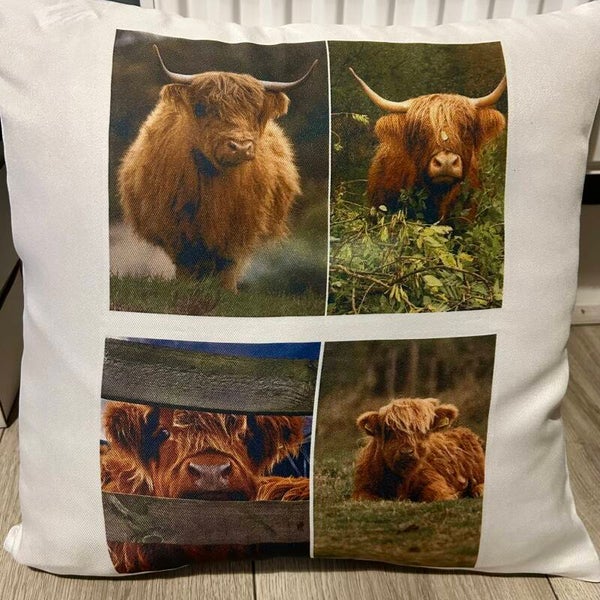 Highland Cow Cushion