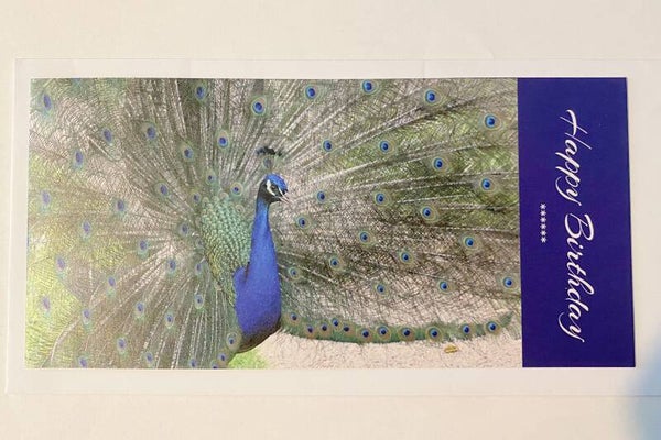 Peacock Birthday Card