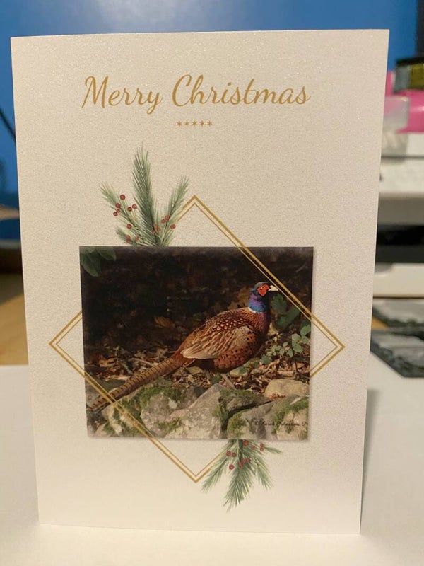 Pheasant Christmas Card