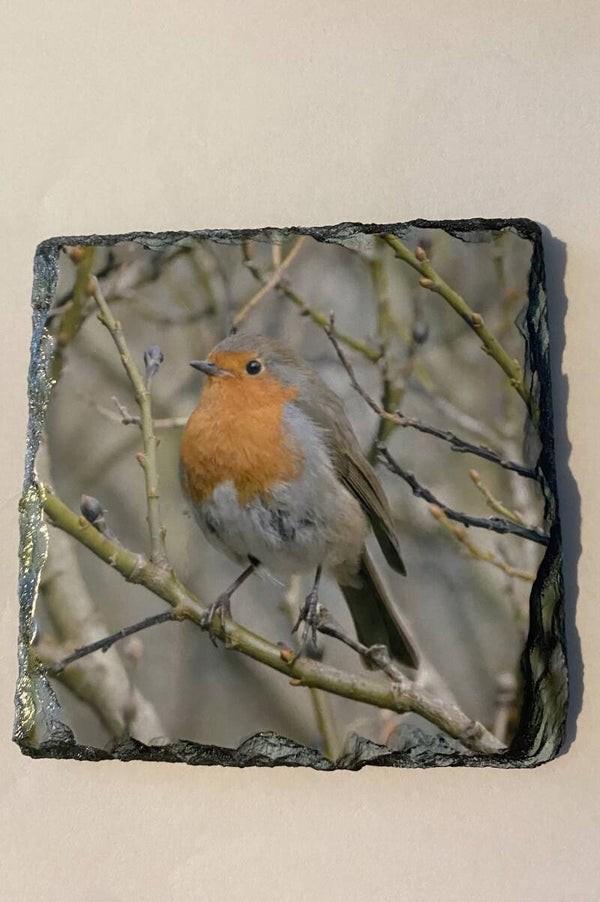 Robin Slate Coaster
