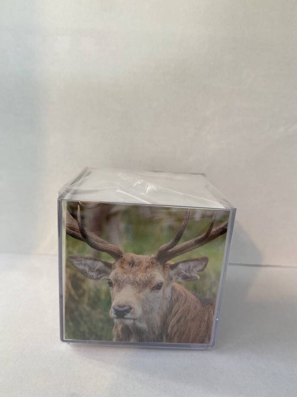 Stag Memo Block