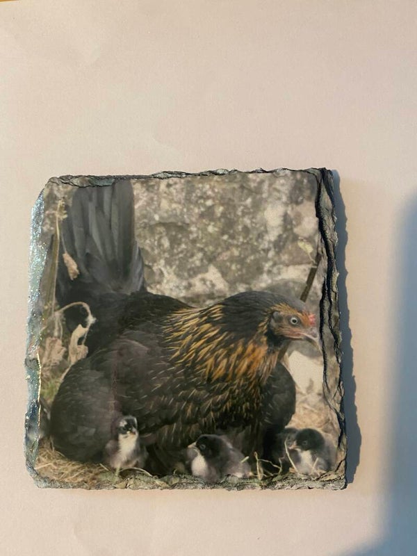 Hen Slate Coaster