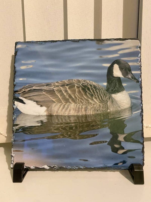 Goose Photo Slate