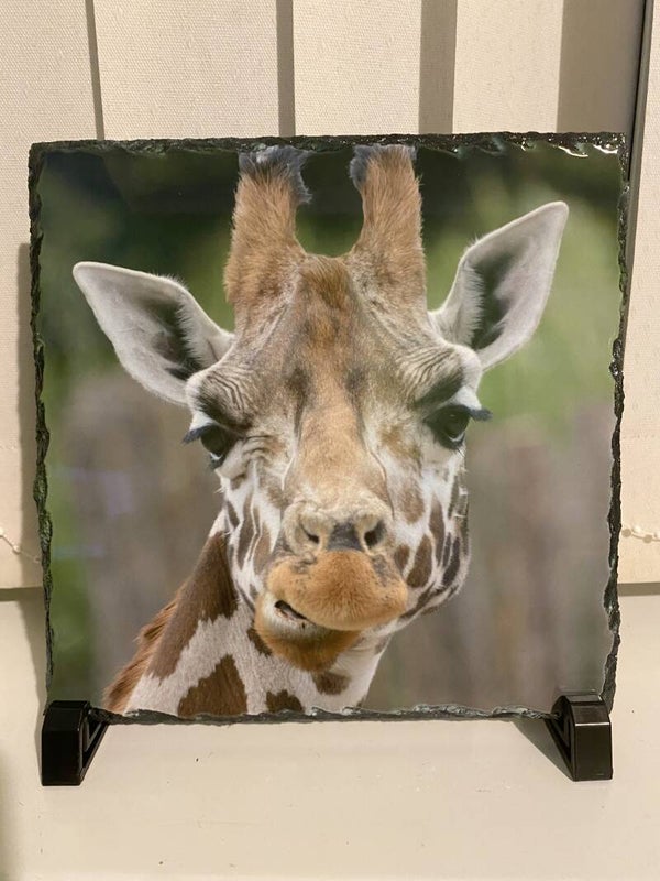 Giraffe Photo Slate