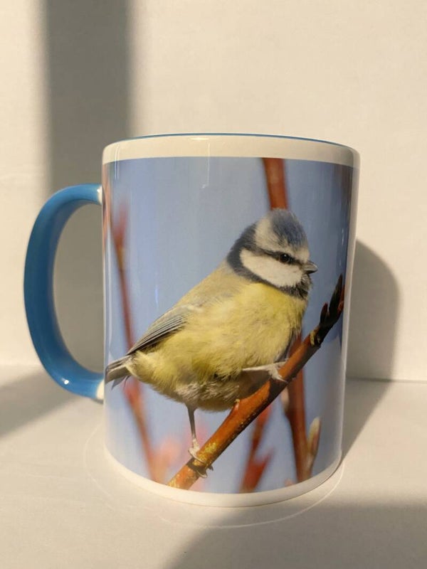 Blue Tit Mug