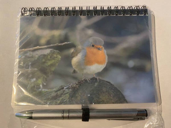 Robin Notebook & Pen