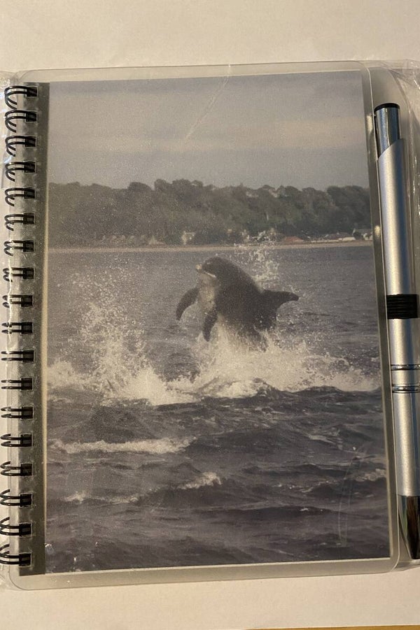 Dolphin Notebook & Pen