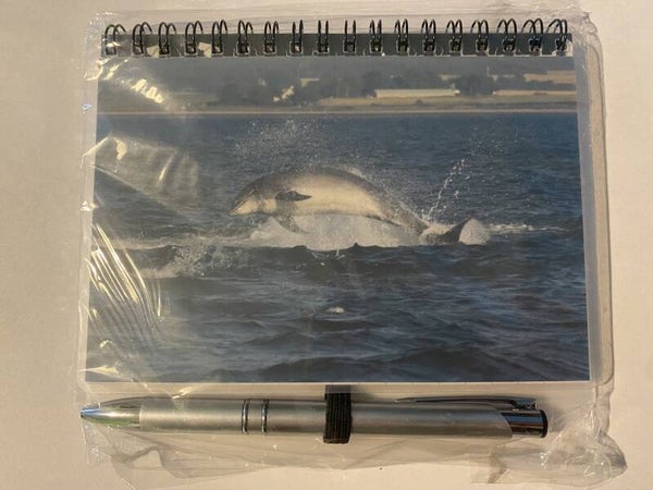 Dolphin Notebook & Pen