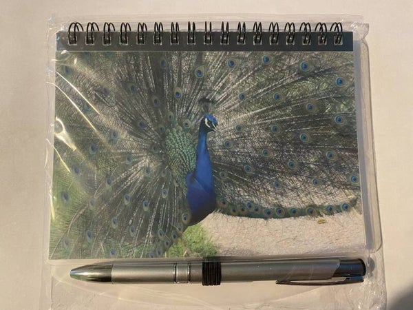Peacock Notebook & Pen