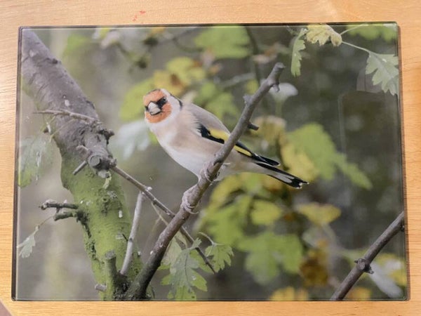 Goldfinch Glass Chopping Board