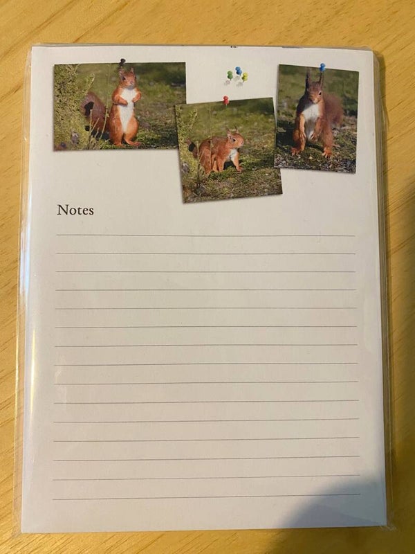 Squirrel Notepad
