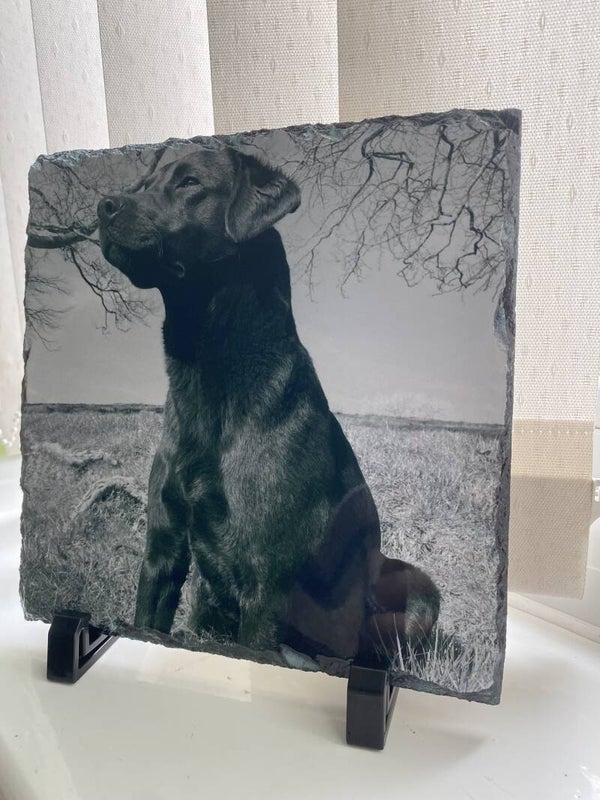 Black lab photo slate