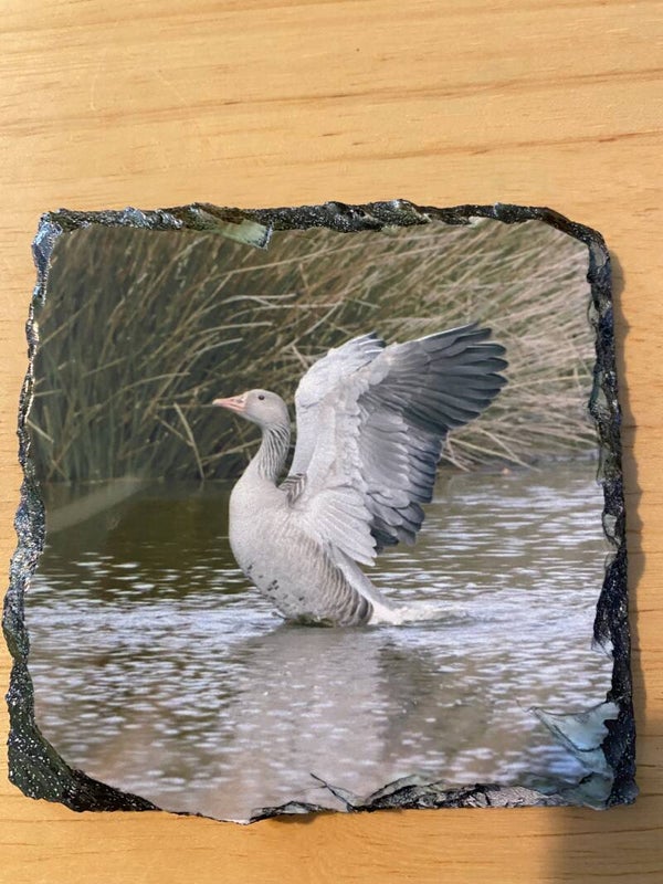 Goose Slate Coaster