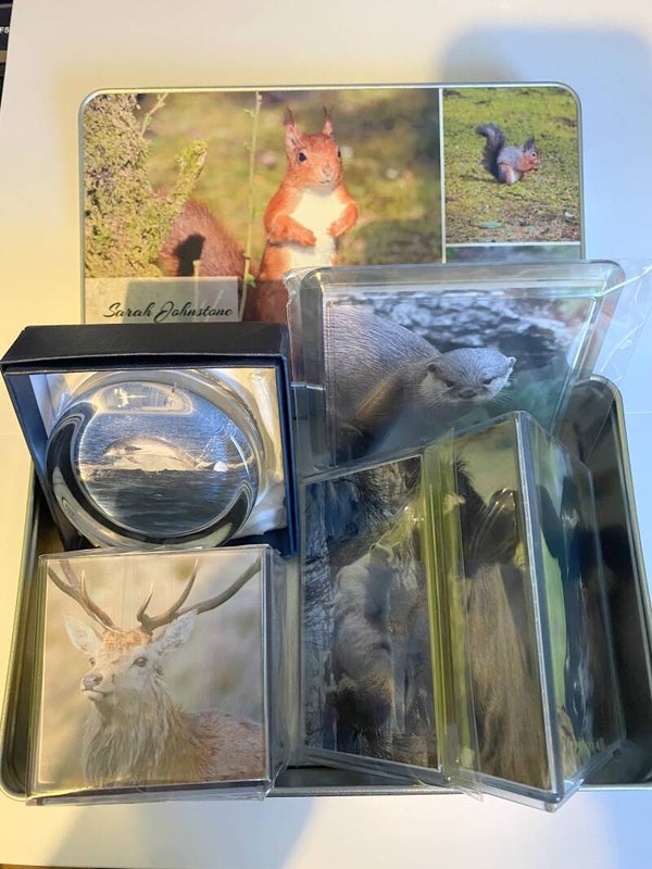 Animal Lovers Gift Tin