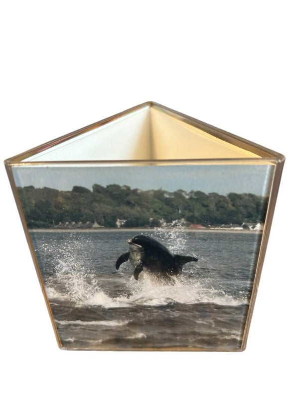 Dolphin Acrylic Pen Holder