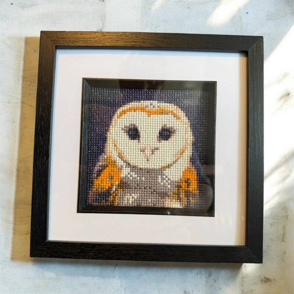 Barn owl Framed diamond art picture