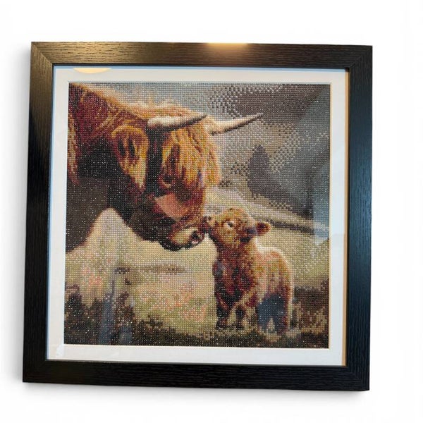 Diamond Art Framed Pictures