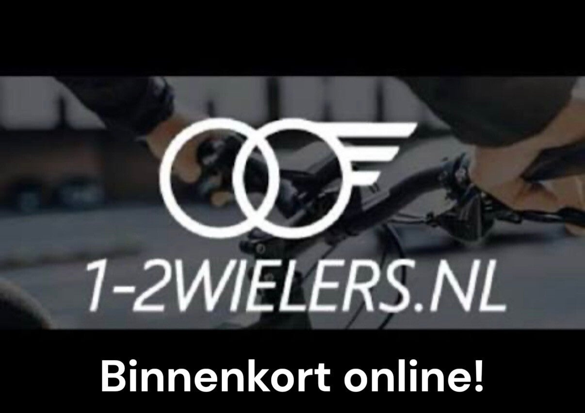 Batavus wayz Bosch activeline plus middenmotor 2020✅