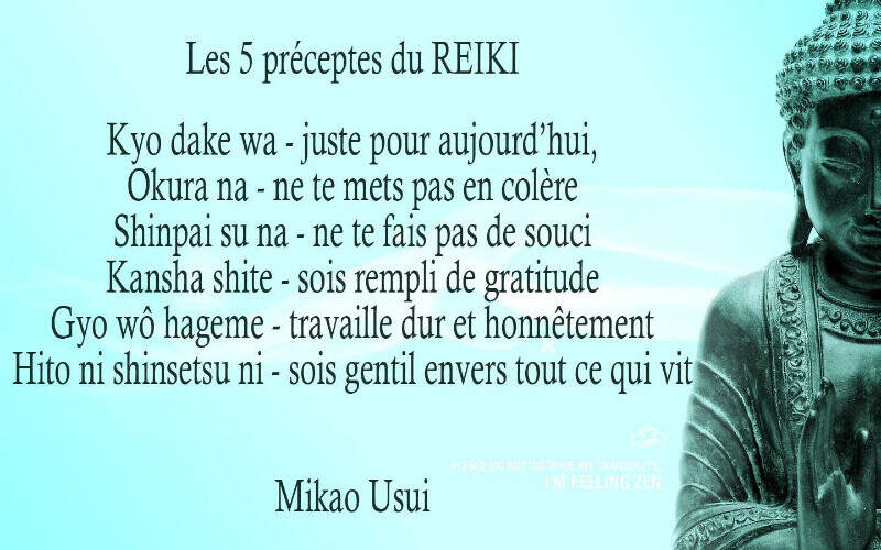 Principes reiki nautilune Visé