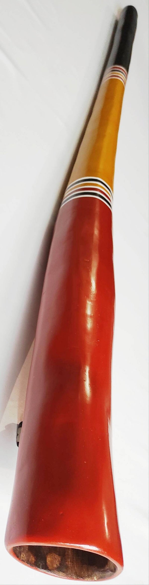 DIDGERIDOO IN PIOPPO