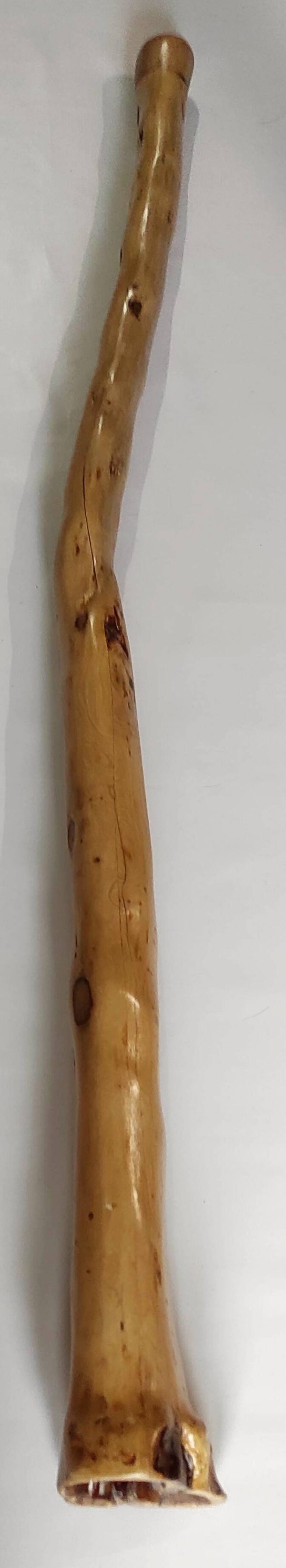 DIDGERIDOO IN GIUGGIOLO