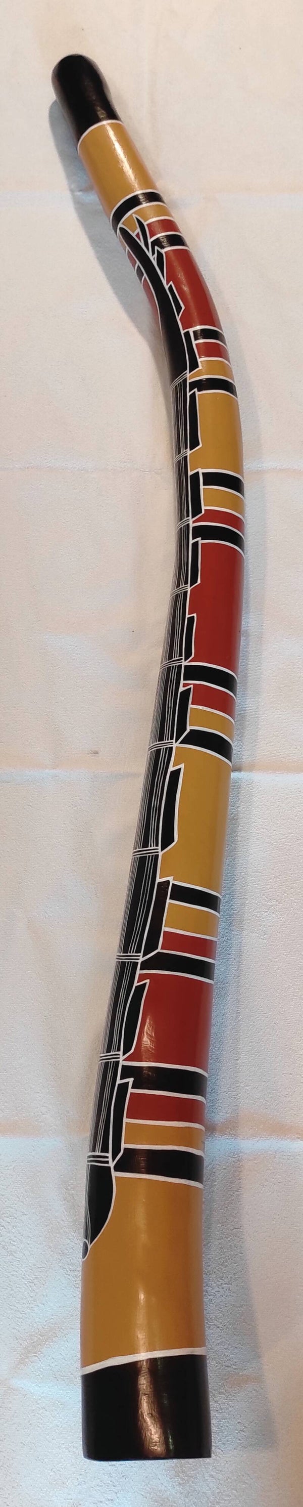 DUE DIDGERIDOO IN AILANTO