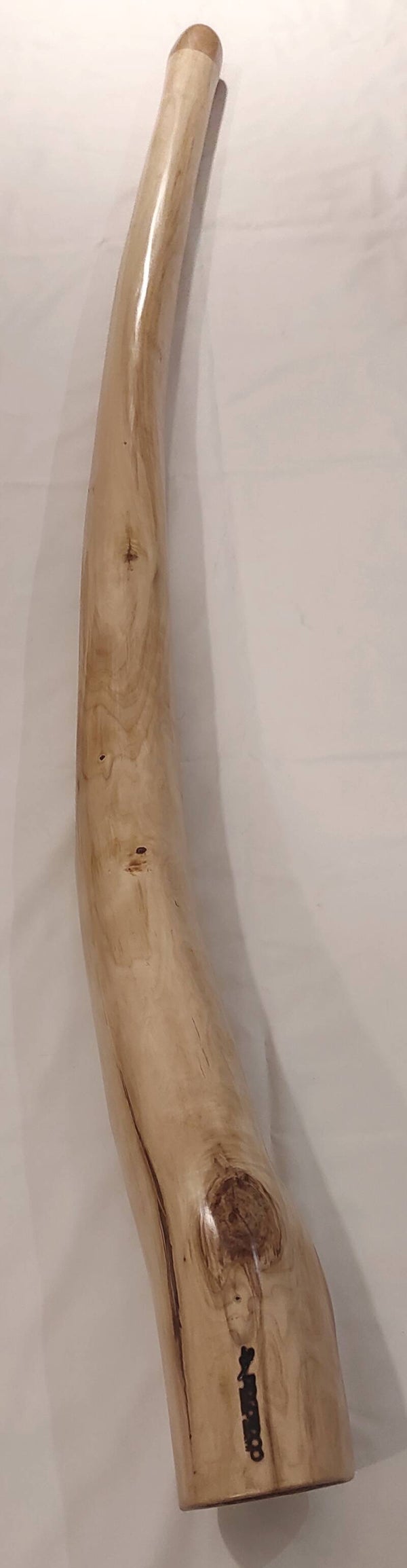 DIDGERIDOO IN PIOPPO