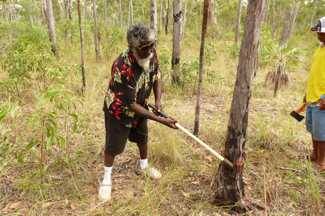 Djalu Gurruwiwi - Arnhemland 2009