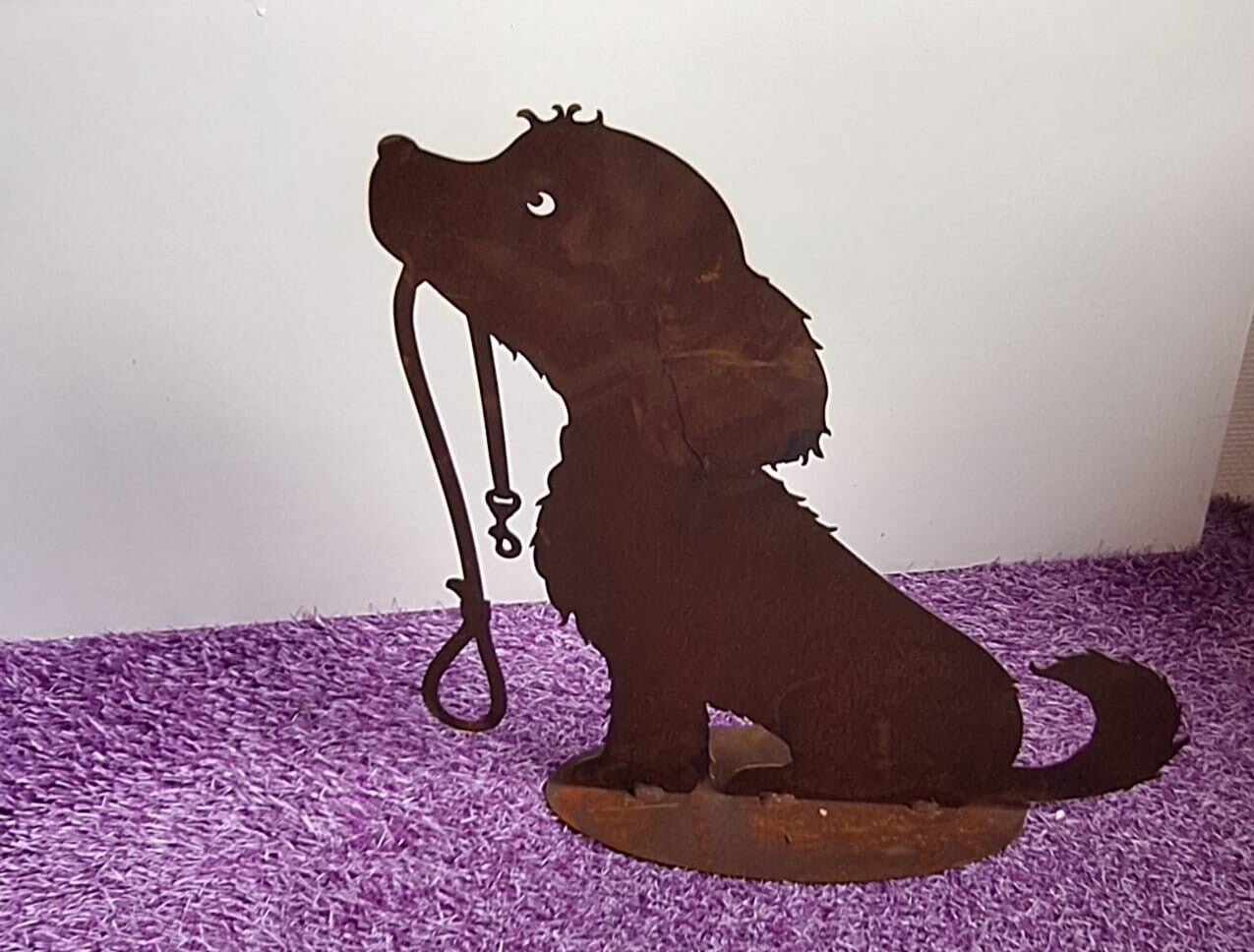 Roest Hond met halsband in zijn mond.