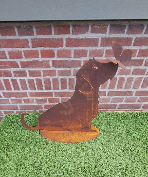 Roest teckel met vlinder op zijn neus.