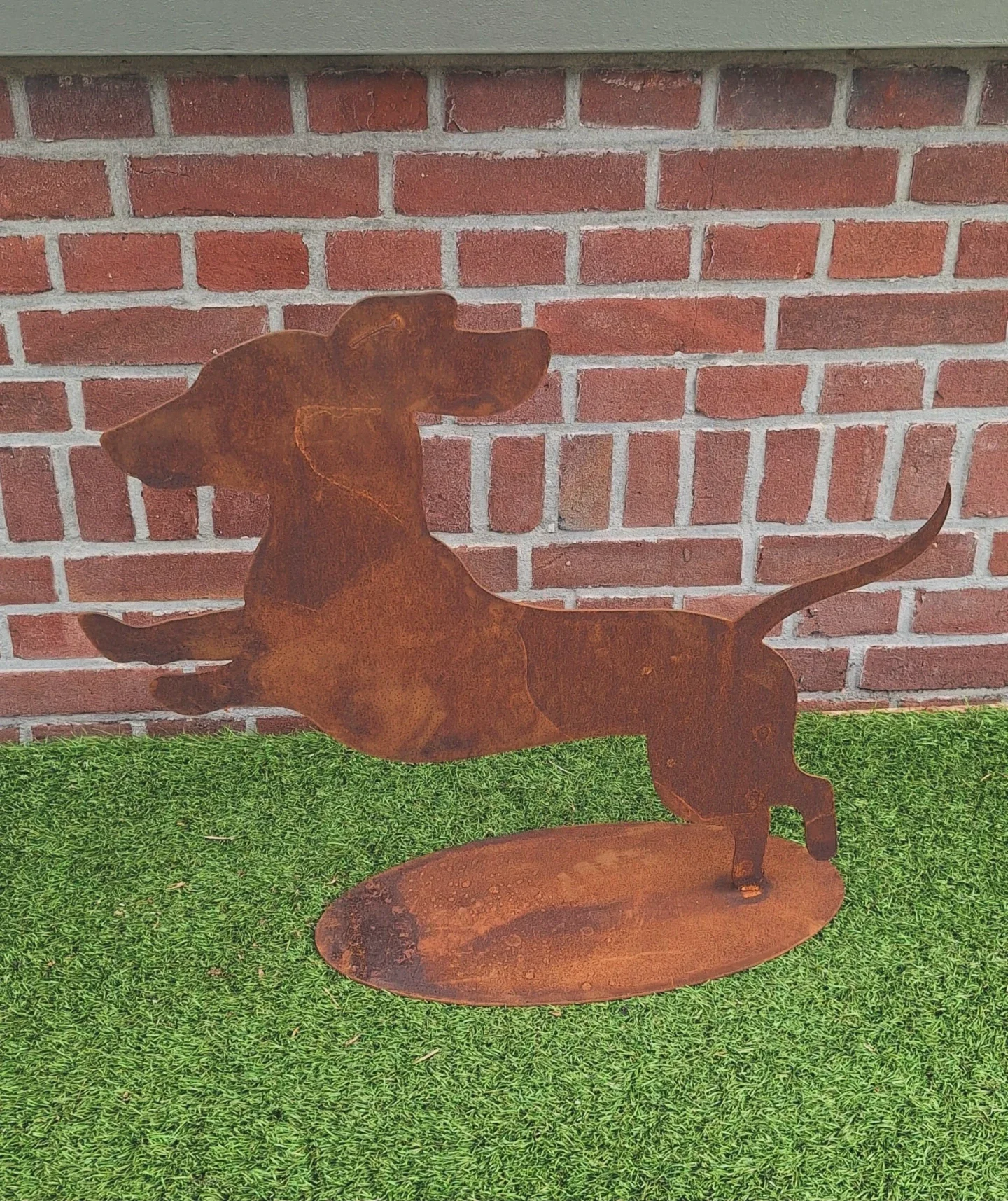 Roest springende Teckel