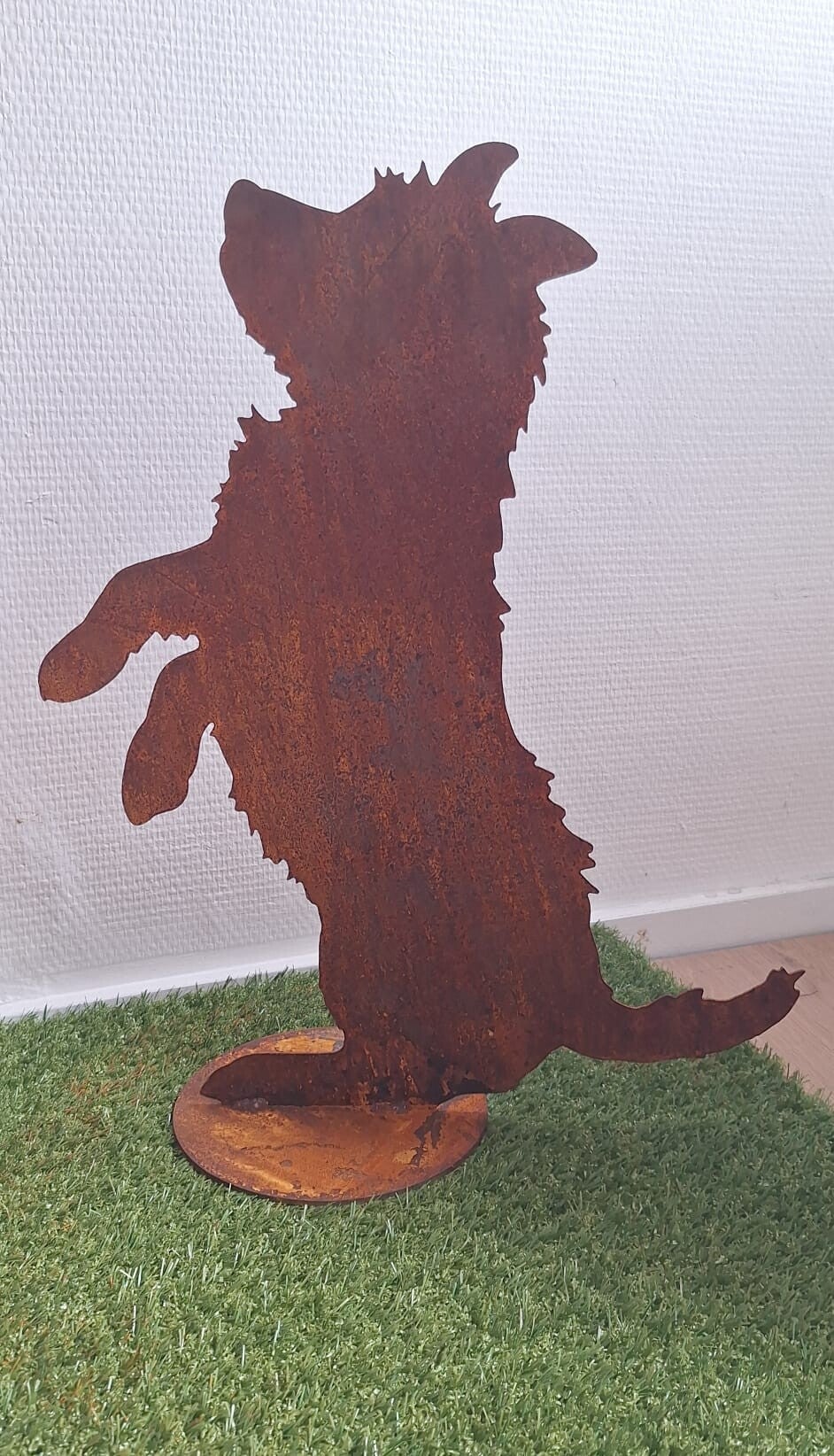 Roest zittende Jack Russell.