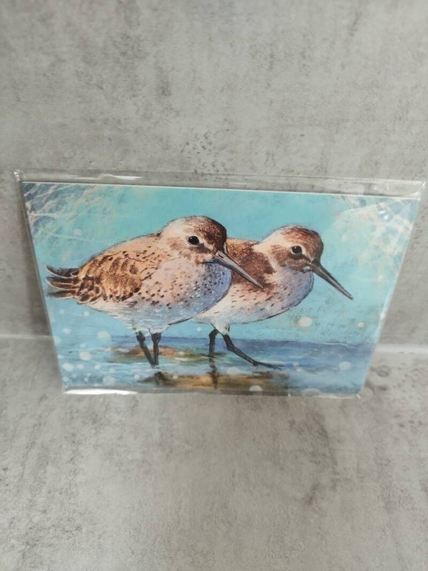 Kaart Strandlopers