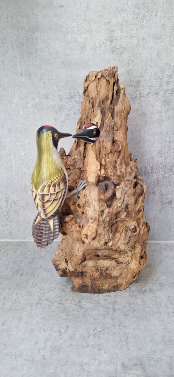 Twee spechten op een houten boomstronk