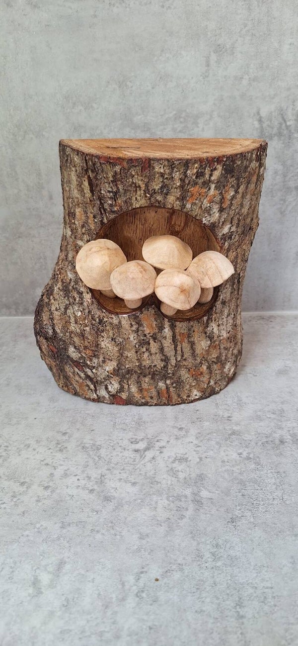 Boomschors met 5 paddestoelen.