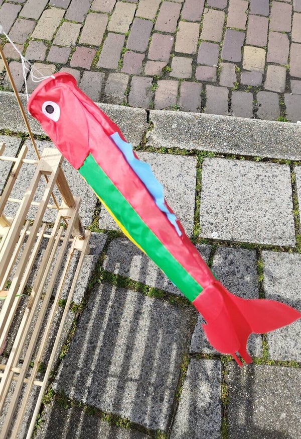 Windvanger Rode vis met rode staart.