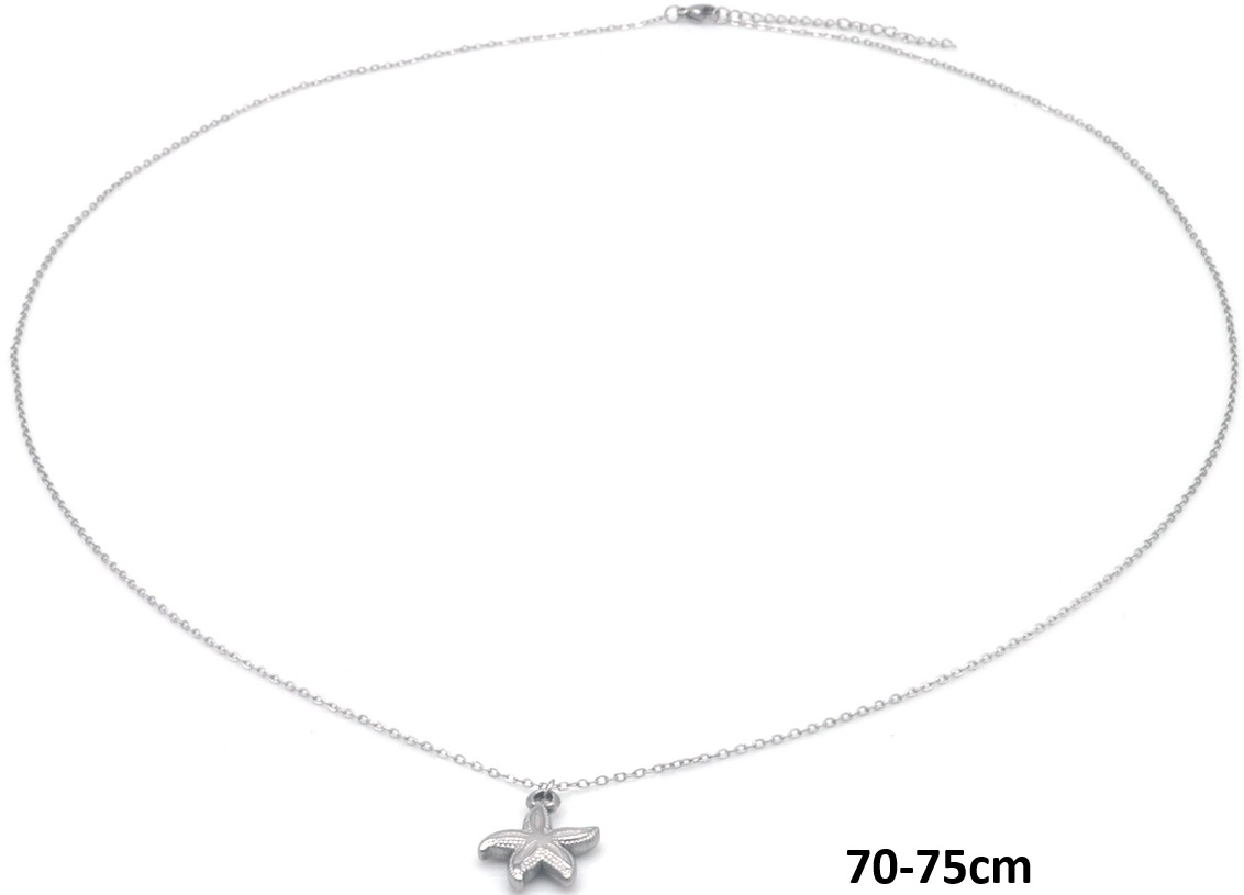 Zeester ketting Zilver