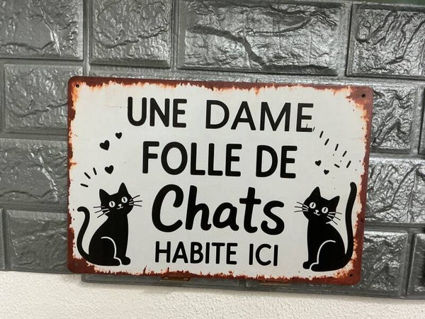 Une dame folle de chat habite ici