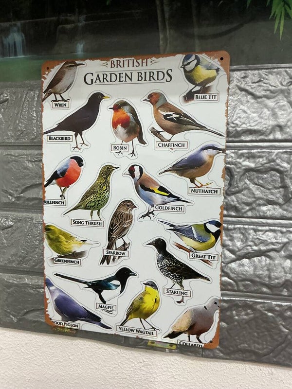 British garden birds