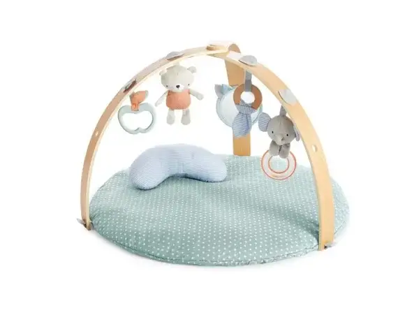 40. Speelkleed Bo Jungle Ingenuity Activity Gym Cozy Spot Reversible