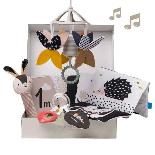 128. Taf toys Black & White Newborn Kit