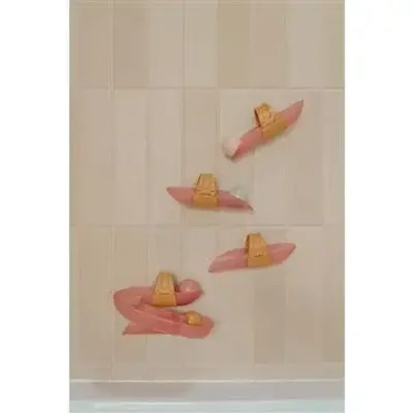 47. LITTLE DUTCH WATERBAAN ROZE