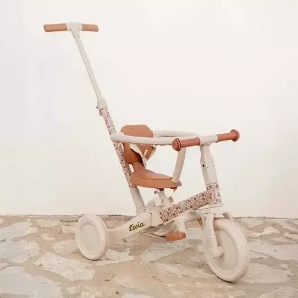 100. Little dutch Driewieler met duwstang Sunny Flower