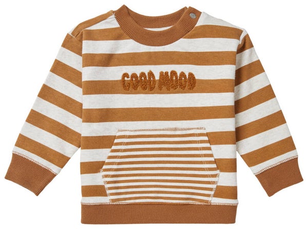 Boys sweater tangerine long sleeve stripe chipmunk