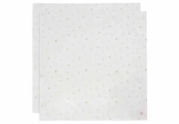 Jollein Hydrofiele Doek Large 115x115cm - Lovely Birds - 2 Stuks