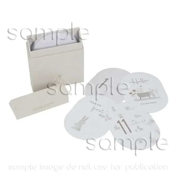 Little dutch Mijlpaal kaarten 'Mijn eerste jaar' Baby Bunny