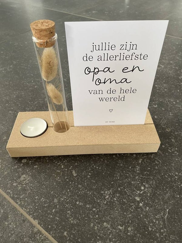 Jullie zijn de allerliefste opa en oma van de hele wereld!