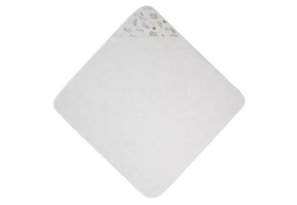 5. badcape wild flowers