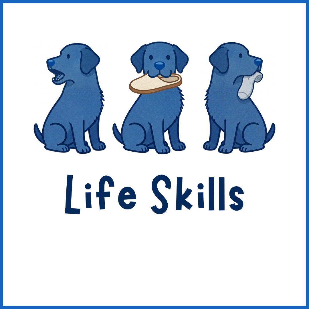 Life Skills Classes (click here)