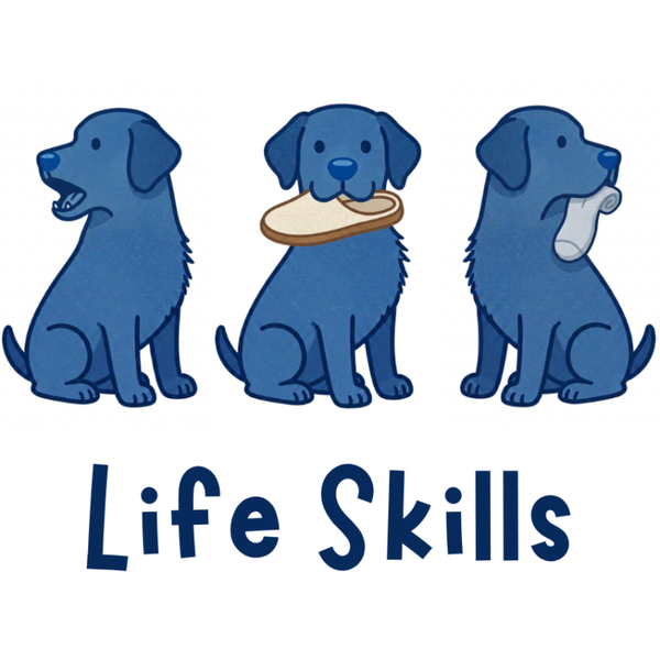 Life Skills Classes (click here)